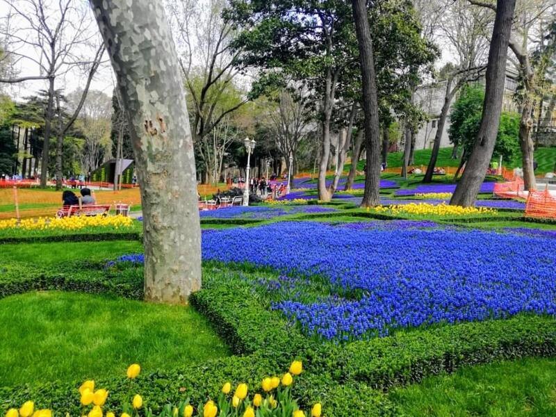 Delightful Suite Sultanahmet I Provincia di Provincia di Istanbul Esterno foto